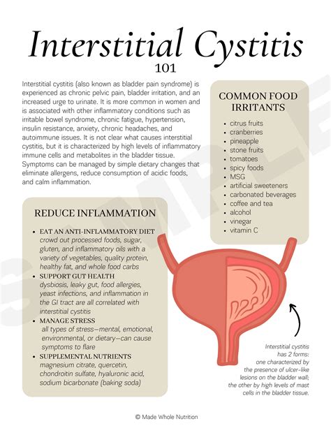 What Autoimmune Disease Causes Interstitial Cystitis